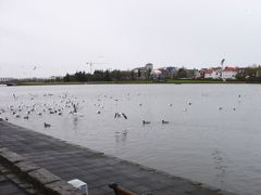 チョルトニン湖に再び来ました。

鳥がいっぱいで、癒されます。