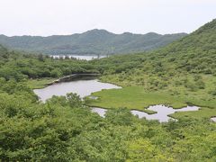 下山して鳥居峠からの覚満淵
こちらではサントリーの天然水ビールが飲めるのだが、車運転のためグッと我慢