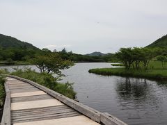 道路側の歩道、修繕して通行止め解除になってました。