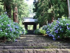 6月20日（土）

後半は自粛明け最初に足慣らしで行った栃木太平山周辺
アジサイが有名

大中寺の山門


