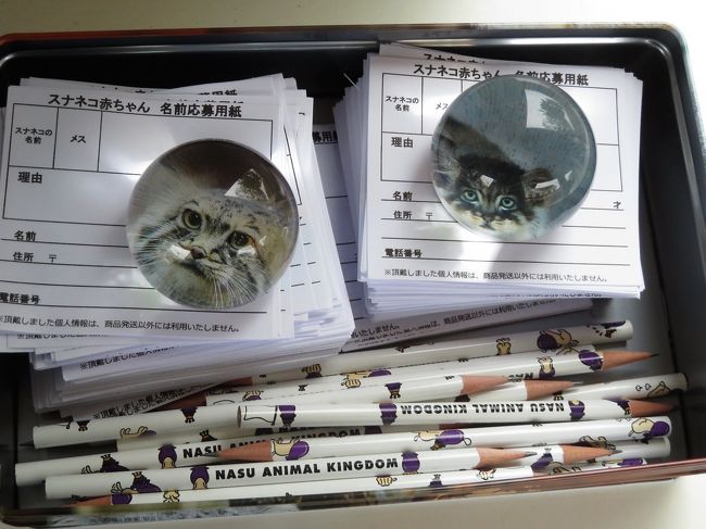 車デビューの福島と栃木レッサーパンダ遠征 2 那須ミッドシティホテル前泊 那須どうぶつ王国色々 王国バザール館と道の駅とsaで買い物三昧 黒磯 栃木県 の旅行記 ブログ By まみさん フォートラベル 車デビューの福島と栃木レッサーパンダ遠征 2 那須ミッドシティホテル前泊 那須どうぶつ王国色々 王国バザール館と道の駅とsaで買い物三昧 黒磯 栃木県 の旅行記 ブログ By まみさん フォートラベル