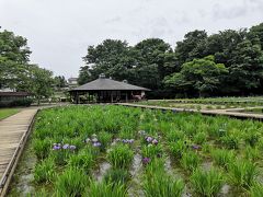 北山公園