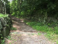 6月16日
朝突然に友人から誘われて昨日も行ったけど　今日も北山公園に行くことにした