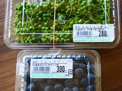 次に立ち寄った武川町農産物直売センターで実山椒とブルーベリーを購入。
ブルーベリーは、その後の車でのおやつに。