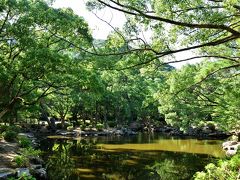 ●東園跡

神社の東側には、江戸時代中期の６代藩主・毛利宗広の時に作庭された回遊式庭園「東園跡」が残り、今も水を湛えています。