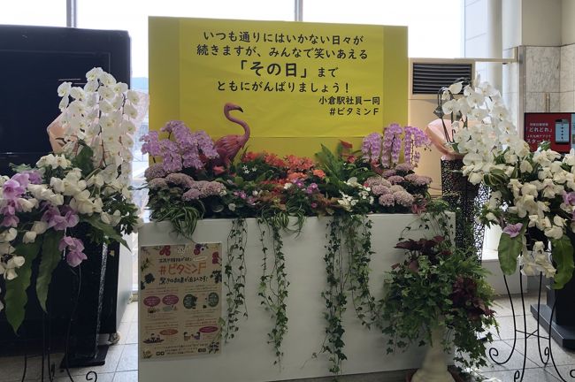 雨にも負けず 地震 コロナにも負けずのマダム旅 北九州編 小倉 北九州市中心部 福岡県 の旅行記 ブログ By よしめさん フォートラベル 雨にも負けず 地震 コロナにも負けずのマダム旅 北九州編 小倉 北九州市中心部 福岡県 の旅行記 ブログ By よしめさん フォートラベル