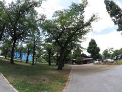 仙台を代表する桜の名所、西公園です。茶屋もあって、桜の季節以外でも楽しめます。