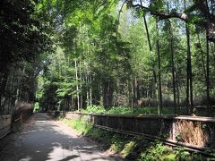 竹林の道を散策。