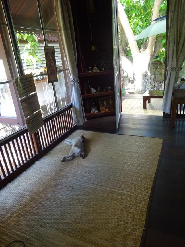 Little Good Things Maehongson <br />Vegan cafe <br /><br />15:00までの営業です。<br />地元の人がランチしにもくるし、<br />お茶を飲みにもくるし、<br />確実に白人はご飯食べたあとダラダラのんびりしてるから<br />お客さんは常にいる感じ。<br /><br />今日は金曜日でタイヤイ市場が出るとのことで<br />連れて行ってもらうことになりました。<br /><br />なのでテーブルなどのお片付けをお手伝い。