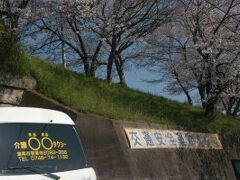 桜並木は河川の堤そう天井川なのです
草津には巨大なものも、ただし水は流れていません