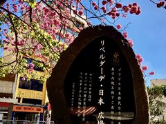 【リベルダージ広場の桜】

どうやらこれは（日本から持ち込んだ？）モノホンの「八重桜」らしい。今年も（コロナ禍に関係なく）咲いているかなぁ...？