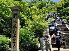 西国三十三所観音第十番札所
明星山 三室戸寺