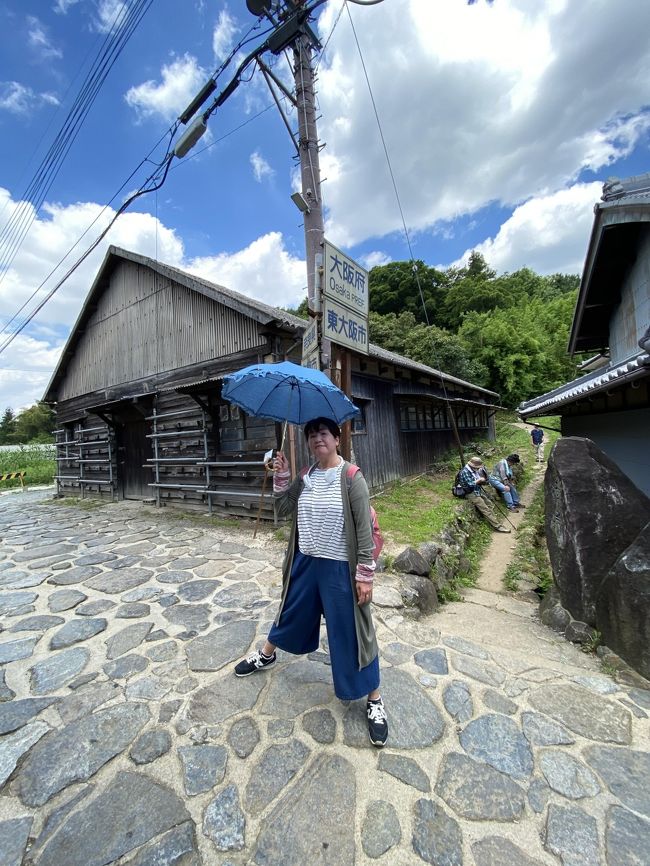 6そうだアジサイ見に行こう って苦行 生駒登山 暗峠 ぬかた園地 石切神社 東大阪市 大阪 の旅行記 ブログ By ぱぺぱぺさん フォートラベル