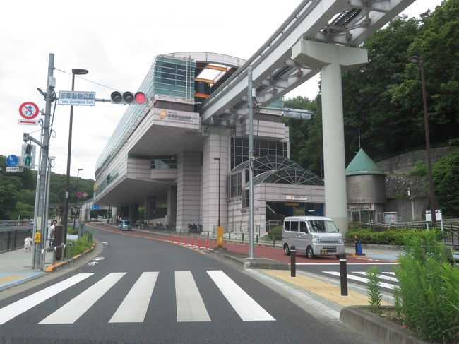 再開園した夏日の多摩動物公園に平日に車で再訪 前編 レッサーパンダ特集 夏日だったのに元気な姿と笑顔を見せてくれてありがとう 日野 昭島 東京 の旅行記 ブログ By まみさん フォートラベル