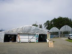 ２年ぶりの岩原果樹園。自宅（静岡県東部）から2時間半程、中央自動車道長坂ICでおりて１０分ほど９時半頃到着しました。