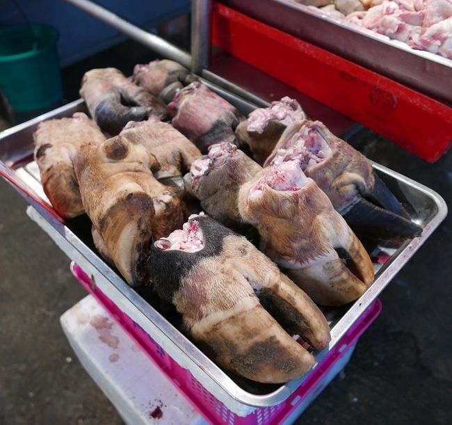 【ラッタナコーン市場】<br /><br />！グロテスクなヒールだ！