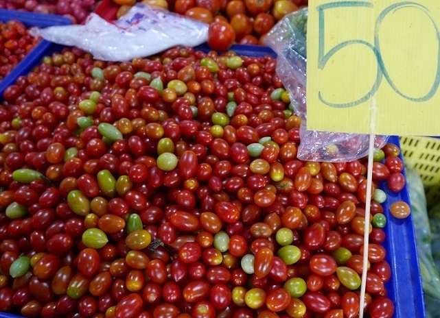 【ラッタナコーン市場】<br /><br />ミニトマト　1Ｋｇ　50Ｂ　お買い上げ～