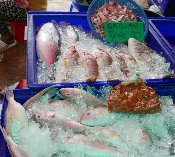 【クロムティーディン市場】<br /><br />海の魚を売っているのはこのお店だけで他の魚店はエビとイカで後は淡水魚を売っています。
