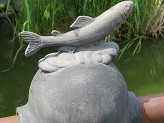 この魚は何だろう？
5/27