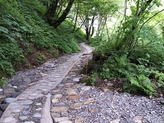 朝５時です。
おはようございます！
昨日とは打って変わって
今日はすごくいい天気。
朝食前に
平湯大滝に向かいます
宿から歩いて３０分ぐらい。
滝の近くの遊歩道はこんな感じで
大滝の音が聞こえてくるよ。

滝の比較的近くまで
クルマでいけるけど、ぼくは歩き。
駐車場があるところまで
けっこう坂を登るから歩きや自転車でいく人は
注意してね