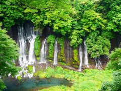 山梨から静岡へ。
世界遺産好きとしては、はずせない「白糸の滝」。
今だからか？駐車場もわりとすんなり入ることができた。

富士山から湧き出る滝は迫力満載。
マイナスイオンをたくさん浴びることができました。

写真は上から見える景色。
