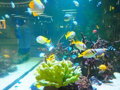 (^-^*)/ｺﾝﾁｬ!
幸い雨は降っていません。