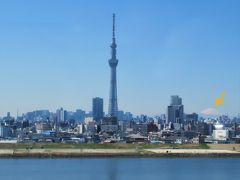これも世界に誇れる日本の絶景。
空港からのリムジンバスから見えたスカイツリーと富士山です。