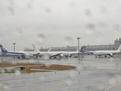 結構な雨の羽田空港です。
残念ながら大阪も雨みたいです。

そして、減便が始まっているため駐機する飛行機が増えてました。