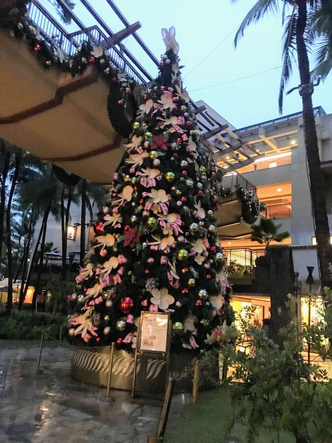 アメリカ ハワイ オアフ島でクリスマスツリー巡り オアフ島 ハワイ の旅行記 ブログ By Iiiさん フォートラベル