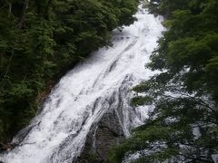 湯滝の駐車場に止めて、泉門池までハイキングしました。
途中から、去年の台風のため、迂回路となっていました。