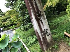 平等院にやってきました。