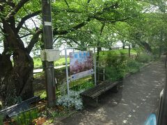 どの駅にも、普通の駅名標とイラスト入り駅名標がある。