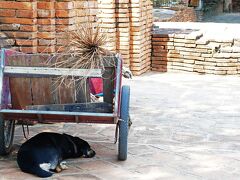 横になれたらベストだけど既にチェックアウト済みだし、このままアユタヤを去っても時間が余るだけだから、昨日考えていたアユタヤ観光計画を縮小して、暑さで体力を奪われない範囲で周ることにした。
お腹に不安は残るけど、薬を服用した安心感から少し観光する元気が出てきた。