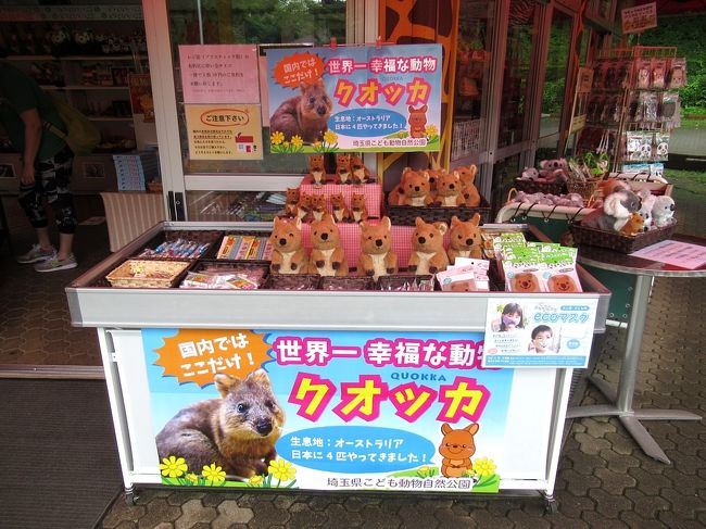 クオッカ達に会いに 埼玉県こども動物自然公園 東園 東松山 埼玉県 の旅行記 ブログ By おかかさん フォートラベル クオッカ達に会いに 埼玉県こども動物自然公園 東園 東松山 埼玉県 の旅行記 ブログ By おかかさん フォートラベル