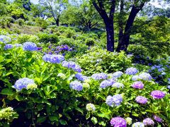 美の山公園