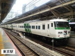 11:48
鶴見から35分。
東京駅に着きました。

あっ！
昭和56年から活躍する185系だ。
とりあえず、スマホでカシャ。