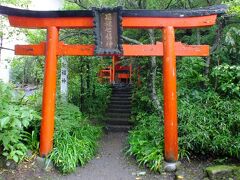 箱根神社の駐車場から参道に向うと箱根七福神の鳥居がありました。
この時は雨も小降りでよかったです。