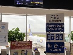 スカイマークで神戸空港から仙台へ。いま特運賃で片道５０００円は破格！
ただ、超早起きが必要。
仙台空港天候不良のため、降りれなかった時は羽田空港へ、という条件付きの便で、
羽田に着いたらどうしよう・・・と心配な旅立ち。
結構な回数飛行機に乗ってますが、初めてゴーアラウンド体験。
なんとか２回目で着陸成功して安堵。