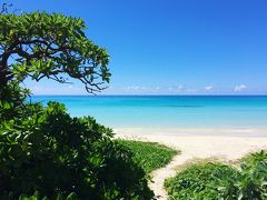 私が沖縄で1番好きなビーチもその伊良部島にあります。
渡口の浜です。

この海を眺めたくて、伊良部島の宿に泊まりたくなります。