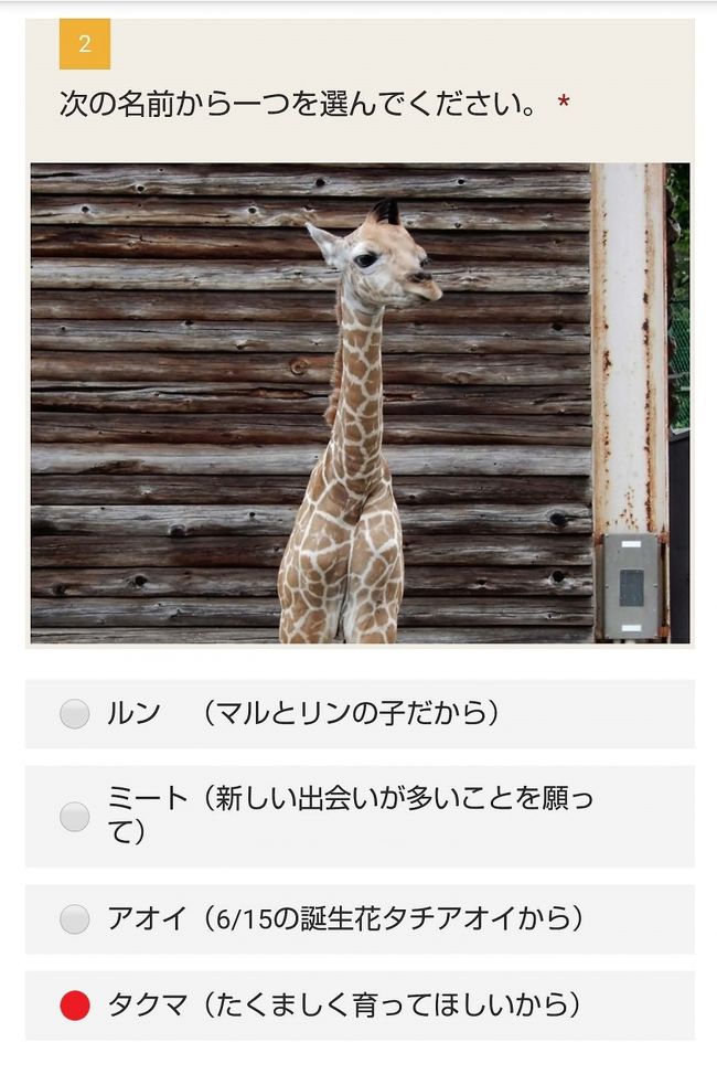 待ち焦がれた埼玉こども動物自然公園 1 久しぶりの園内いろいろ動物以外 キリン売店で買い物 ソーシャルディスタンス コレクション 追加 東松山 埼玉県 の旅行記 ブログ By まみさん フォートラベル