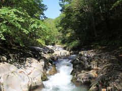 良い景色ですが・・・結構、下ったので登りが心配な爺様ですが、空気が美味しいとはこのことでしょうか。