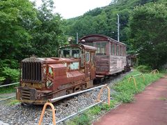 道の駅 奈良井木曽の大橋で見つけた列車