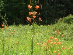 園内は「山里・山野草エリア」「湿原エリア」に大きく分かれ、中央を流れる川のせせらぎを耳にしながらゆっくりと散策・周回するコース。
入園料（大人５００円）を払ってまずは「山里・山野草エリア」を歩く。
