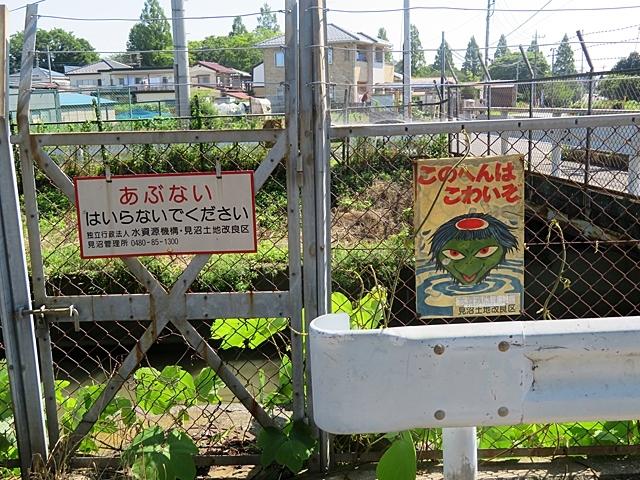 年6月 見沼代用水路の起点を目指す 行田 羽生 加須 埼玉県 の旅行記 ブログ By Buttersuppeさん フォートラベル