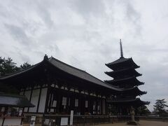 興福寺
https://www.kohfukuji.com/

法相宗の大本山。その前身である「山階寺」は、天智８年(669)に藤原鎌足が重い病気を患った際に、夫人である鏡女王が夫の回復を祈願して造営したものと伝えられているそうな。「興福寺」と名付けられたのは、和銅３年(710)、平城遷都の時なんだって。