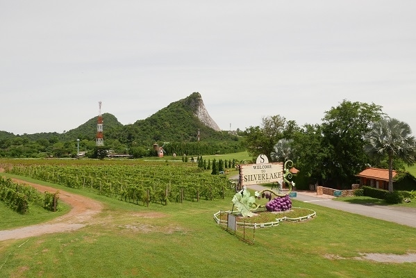 「シルバーレイク・ワインヤード」<br />一休の財力ではここのワインは買えませんよ！もうここには来ません。