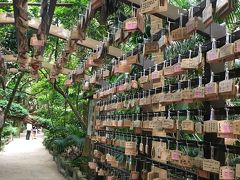 さらに北上して　青島神社に⛩

奥の細道がジャングルみたいで
面白いです