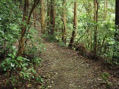 急階段を暫く登ると、整備された登山道へ。