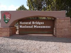 Natural Bridge National Monument

Moki Dugwayから約50分、15時50分にようやくナチュラルブリッジ国定公園に到着しました。

予備知識がほぼなかったのでビジターセンターの人に簡単なトレイルを尋ねると、Owachomo Bridge Trailが簡単だといわれたのでそちらへ向かいます。
