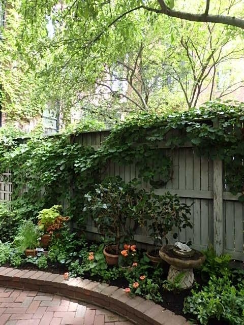 暮らすように旅するboston Beacon Hill Vol4 The Hidden Gardens Of Beacon Hill ボストン アメリカ の旅行記 ブログ By 旅遊de道楽さん フォートラベル 暮らすように旅するboston Beacon Hill Vol4 The Hidden Gardens Of Beacon Hill ボストン アメリカ の旅行記 ブログ By 旅遊de道楽さん フォートラベル